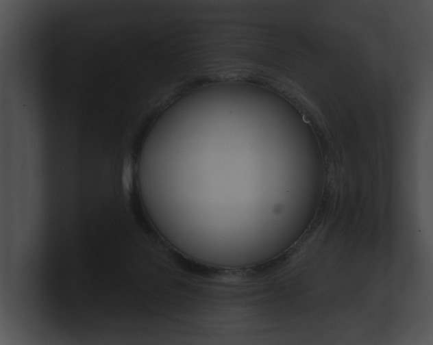 X0000100890076200806241018