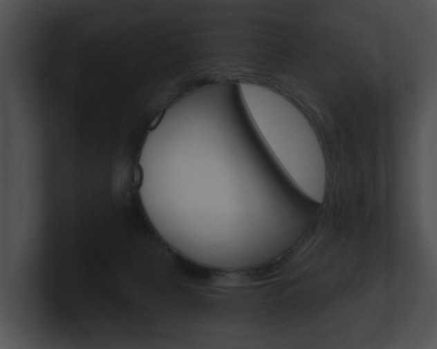 X0000100890079200806241018