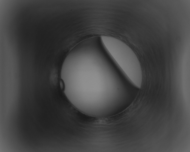 X0000100890080200806241018