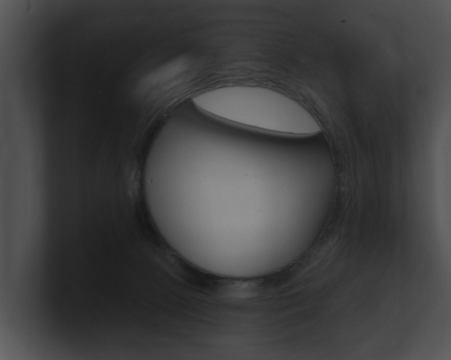 X0000100890081200806241018