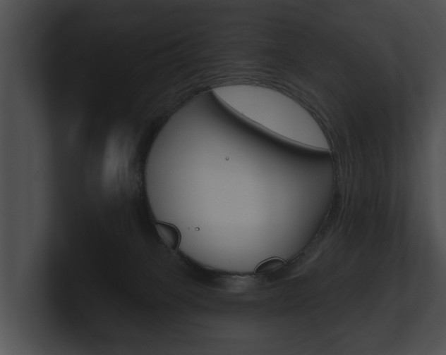 X0000100890085200806241018