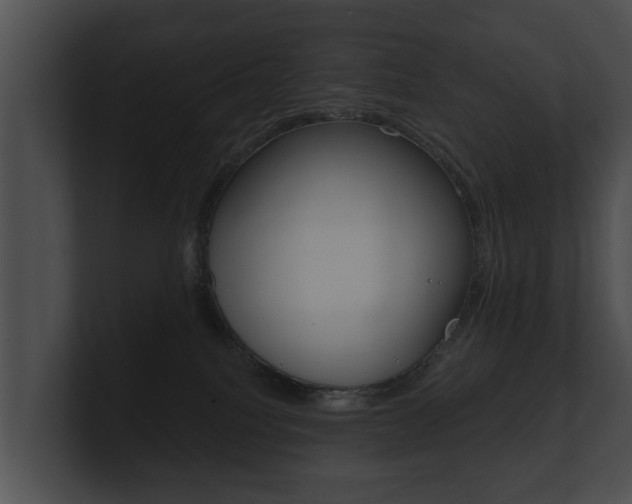 X0000100890088200806241018