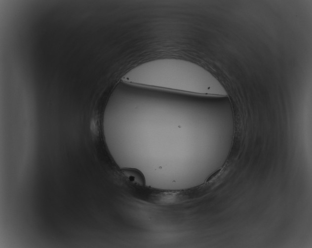 X0000100890090200806241018