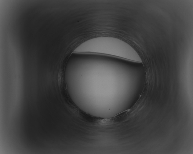 X0000100890092200806241018