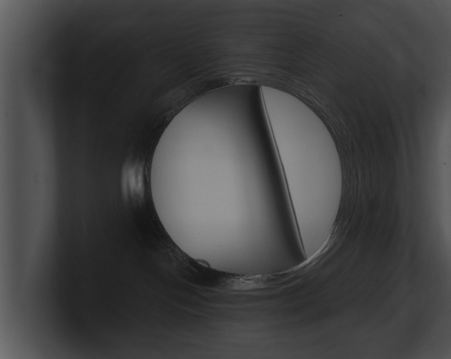 X0000100890094200806241018