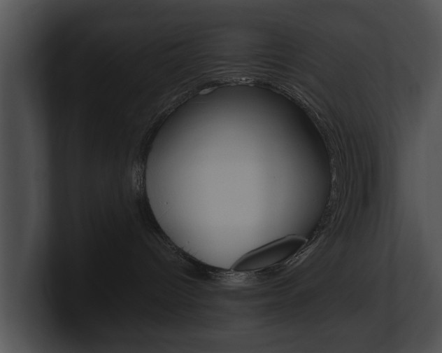 X0000100890096200806241018