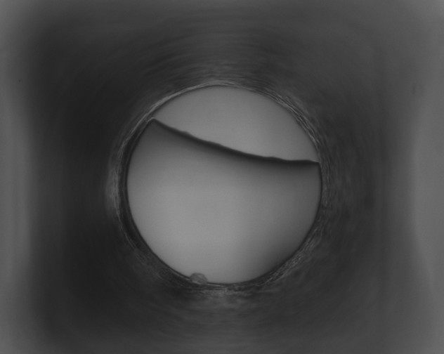 X0000100890098200806241017
