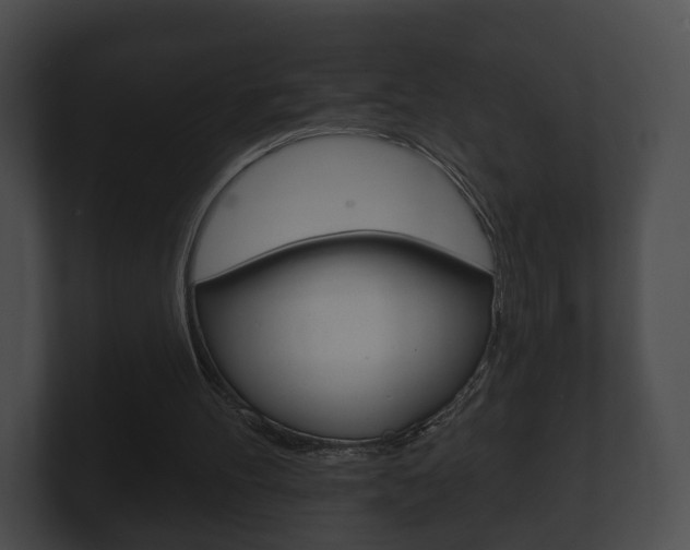 X0000100890100200806241017