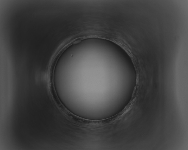 X0000100890101200806241017