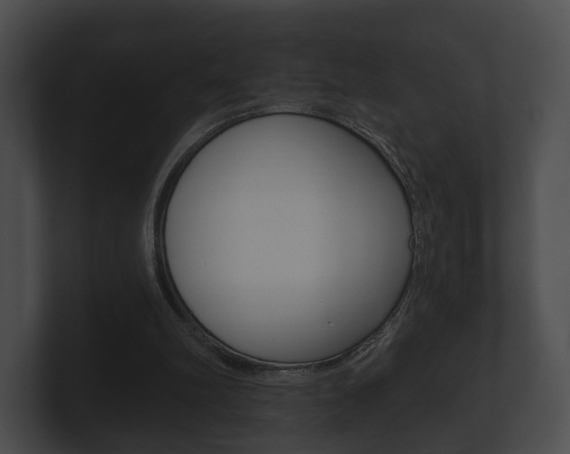 X0000100890102200806241017