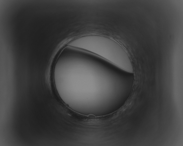 X0000100890104200806241017