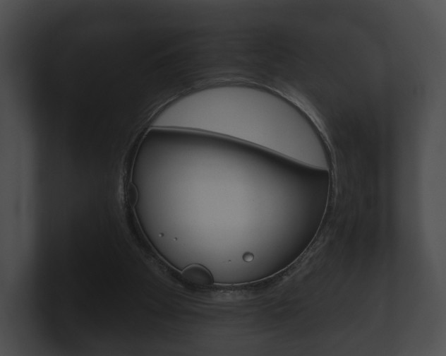 X0000100890105200806241017