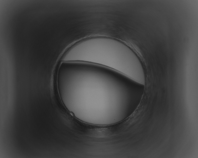 X0000100890108200806241017