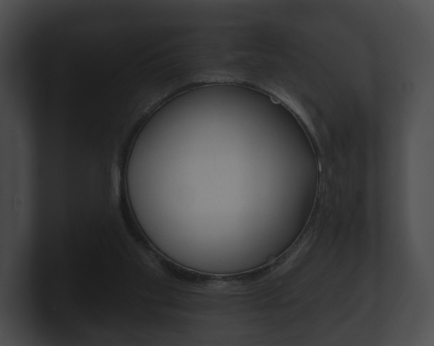 X0000100890109200806241017