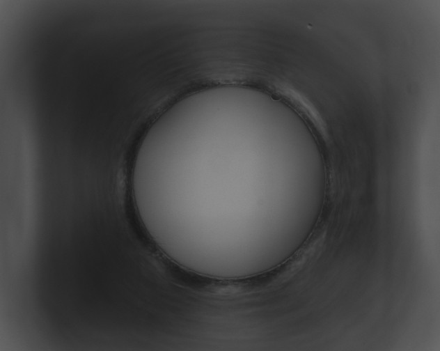 X0000100890113200806241017