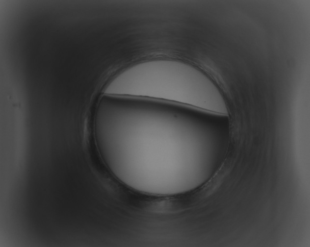 X0000100890116200806241017