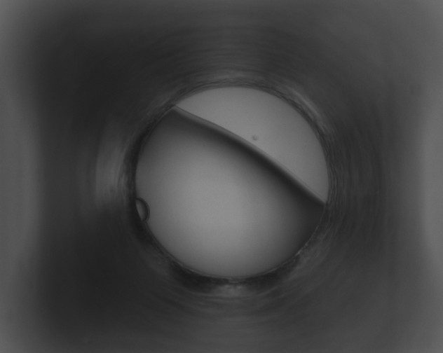 X0000100890119200806241017