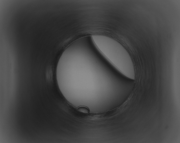 X0000100890120200806241017
