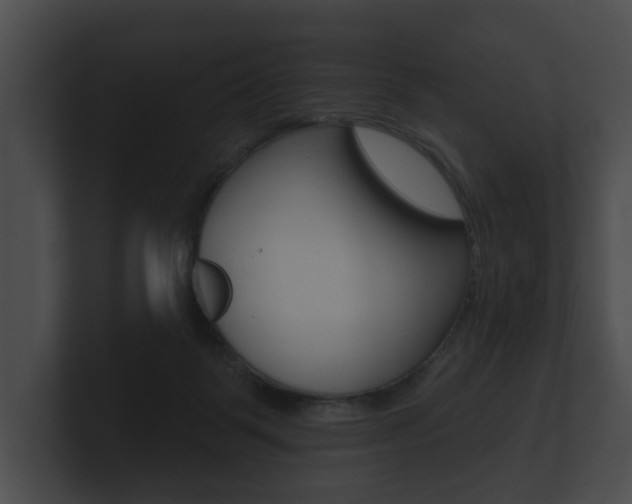 X0000100890123200806241017