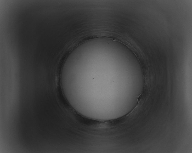 X0000100890124200806241017
