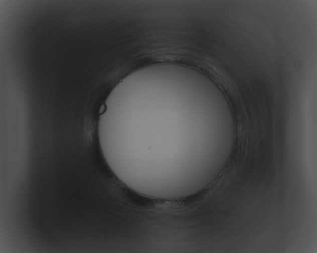 X0000100890125200806241017