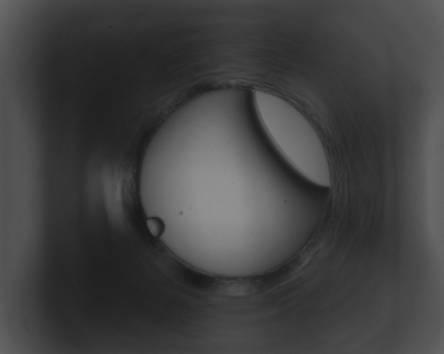X0000100890127200806241017