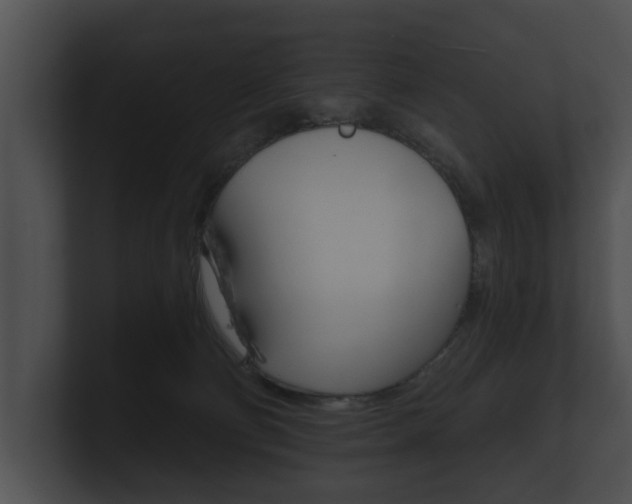 X0000100890130200806241017
