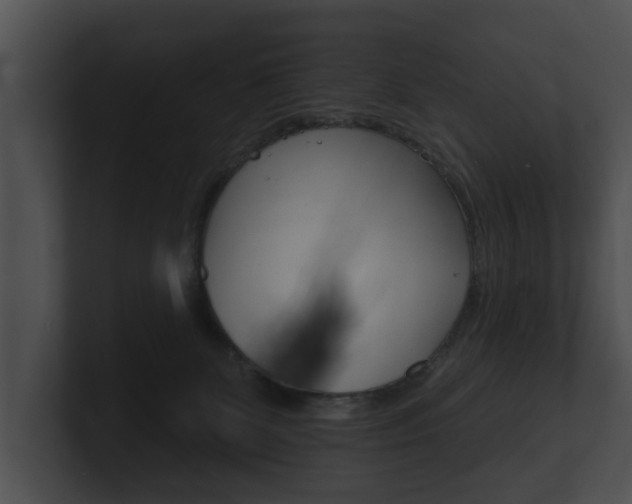 X0000100890131200806241017