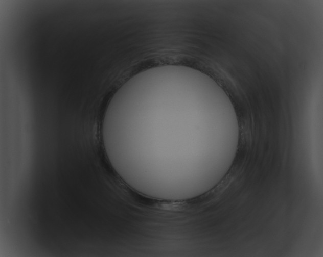 X0000100890134200806241017