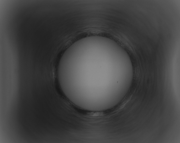 X0000100890135200806241017