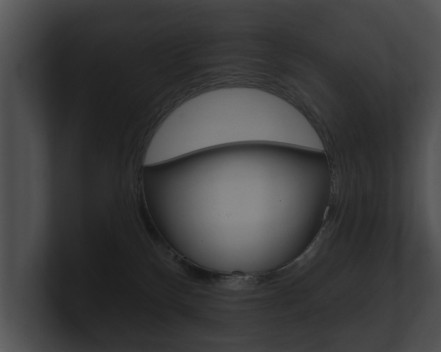 X0000100890136200806241017