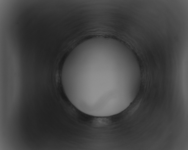 X0000100890137200806241017