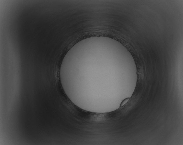 X0000100890138200806241017