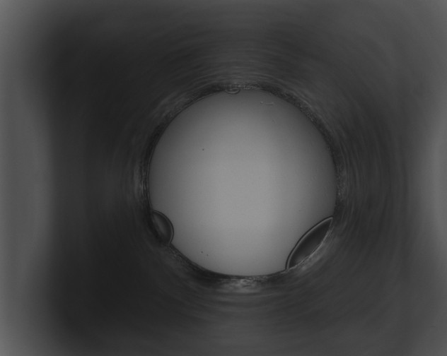 X0000100890140200806241017