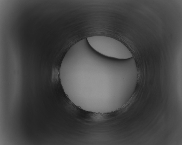 X0000100890142200806241017
