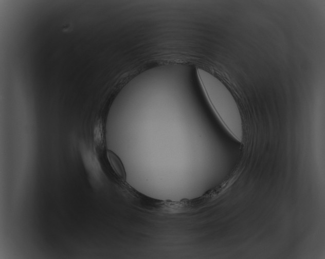 X0000100890143200806241017