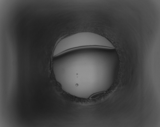 X0000100890144200806241017