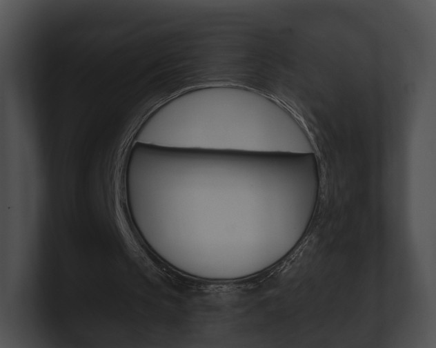 X0000100890145200806241016
