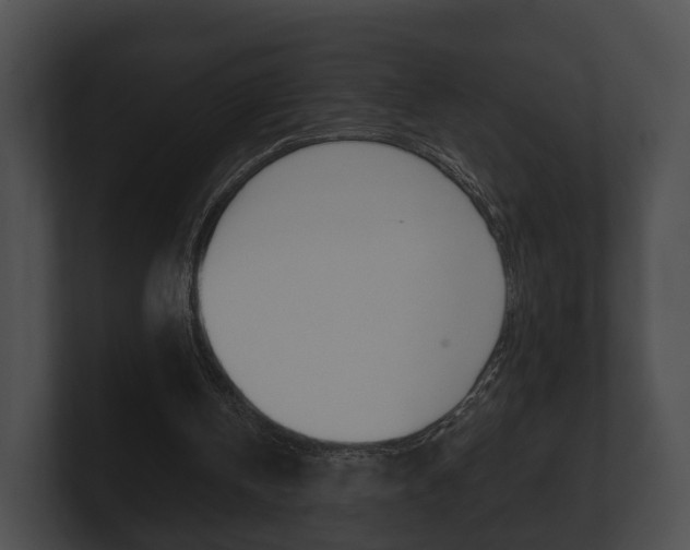 X0000100890146200806241016