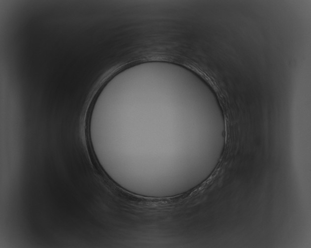 X0000100890147200806241016
