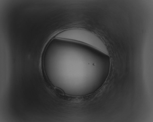 X0000100890148200806241016