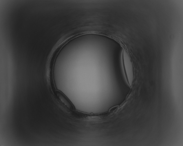 X0000100890150200806241016