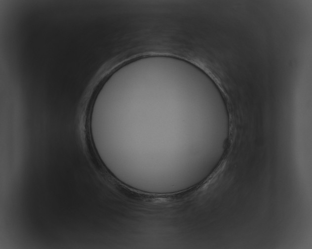 X0000100890151200806241016