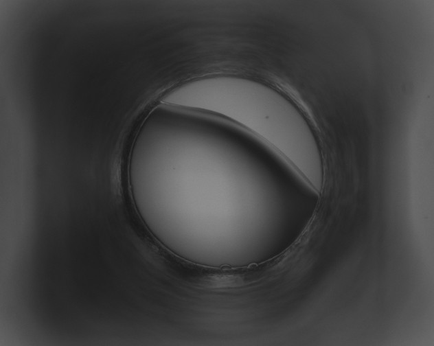 X0000100890154200806241016