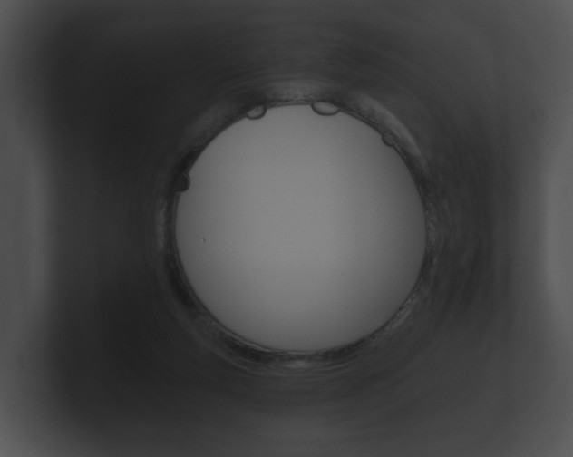 X0000100890163200806241016
