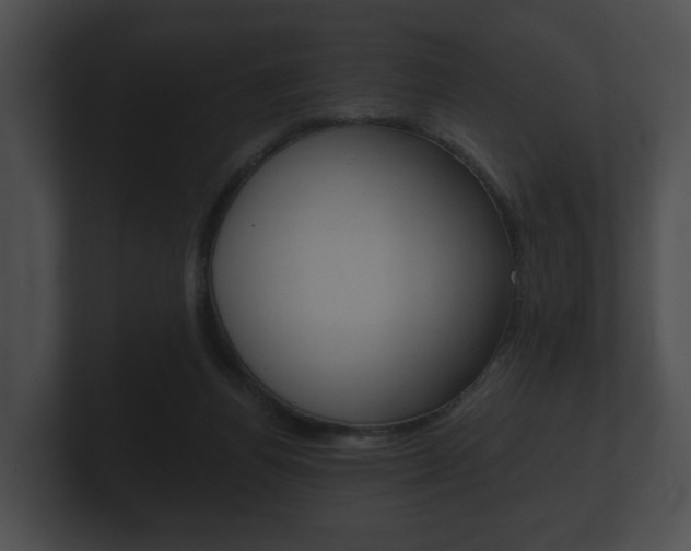 X0000100890164200806241016