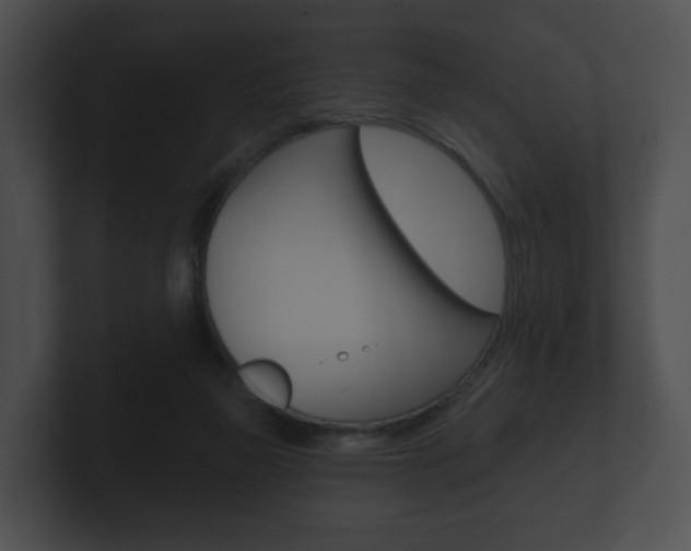 X0000100890165200806241016