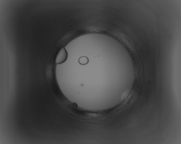 X0000100890167200806241016