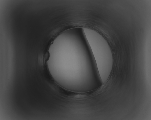 X0000100890168200806241016