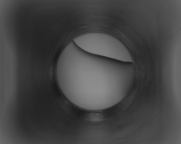 X0000100890169200806241016
